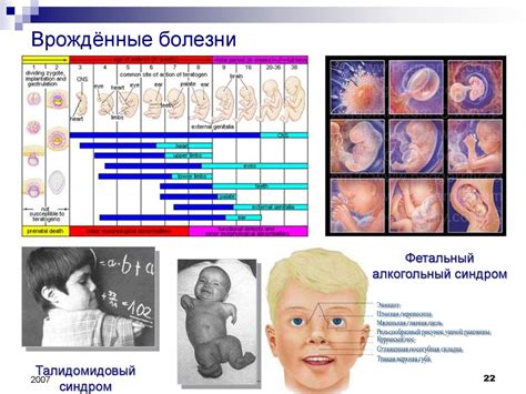  Роль различных факторов в ходе родов 