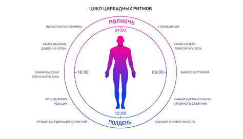  Световой режим для малышей: ритмы и рекомендации 