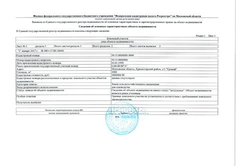  Содержание документа ЕГРН: информация о недвижимости и её собственниках 