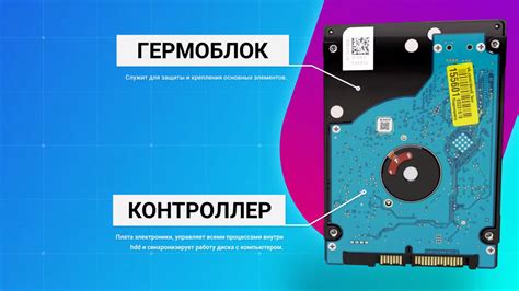  Содержание идентификационного номера: подробный обзор данных 