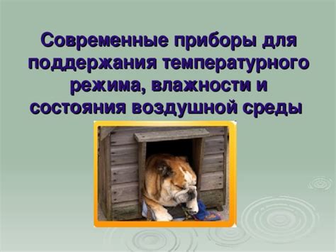  Способы поддержания свежести кабачков в жилых помещениях в период осенних месяцев
