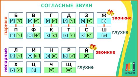  Сравнение парных согласных в отношении звуковой формы 