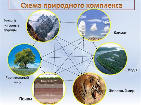  Существующие средства на основе природного компонента 