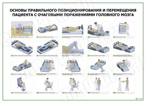  Техника правильного перемещения растения "радость женщины" 