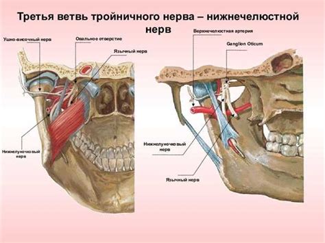  Типичные нарушения работы пятого черепного нерва
