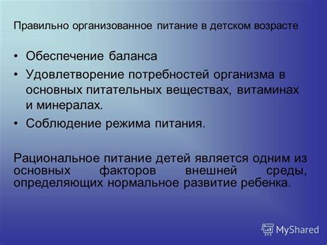  Удовлетворение потребностей организма кошки в необходимых питательных веществах