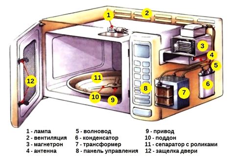  Функциональные компоненты микроволновой печи и их важность в процессе нагрева продуктов
