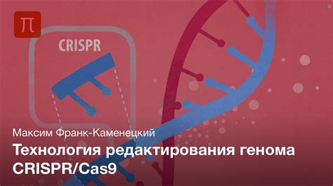 CRISPR-Cas9: новаторская технология модификации генома