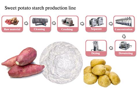 Principles of Sorting and Separating Potatoes by Condition