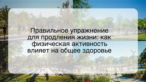 Активность и занятия для продления жизни