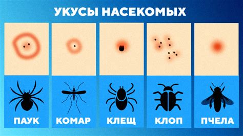 Альтернативные способы контроля насекомых