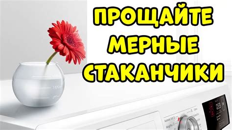 Альтернативы стиральным порошкам