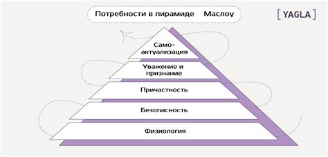 Анализ потребностей и определение целей