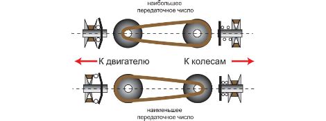 Анатомия вариатора и его особенности: