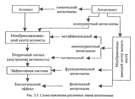 Антагонизм свинины и религии