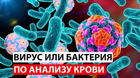 Бактерии и вирусы: основные причины инфекций