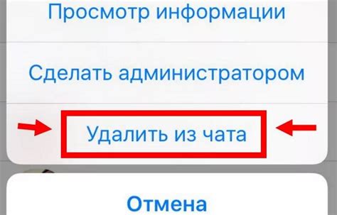 Безопасное удаление администратора в Вайбере