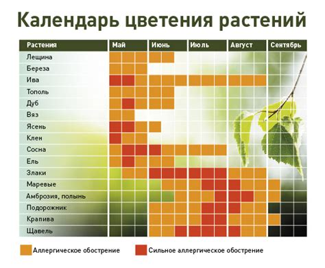 Безопасный выбор для аллергиков