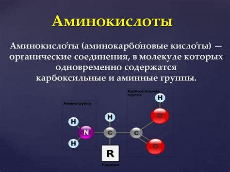 Белки и аминокислоты, необходимые для формирования мышц