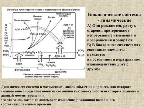 Биологические процессы при смерти