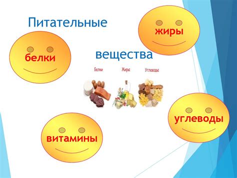 Богатый состав питательных веществ