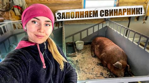 Важное замечание о приеме мяса после молока