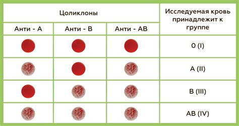 Важность знания группы крови и резус-фактора