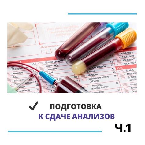 Важность правильной подготовки к сдаче анализа крови