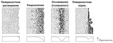 Важность чистоты стен