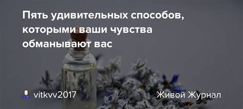 Ваши чувства обманывают вас?