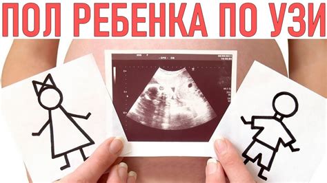 Вероятность ошибки в определении пола