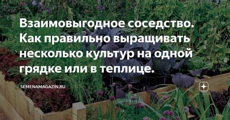 Взаимовыгодное соседство