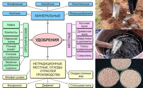 Виды удобрений, идеально подходящие для использования летом