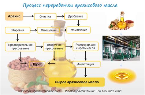 Вино и циклоферон: каков процесс переработки