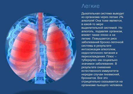 Вирусы и их влияние на дыхательную систему кошек