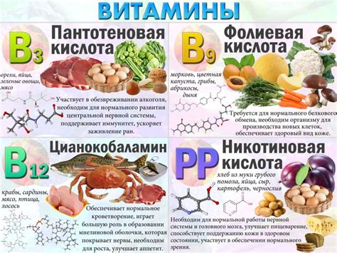 Витамины в обед: полезно или нет?