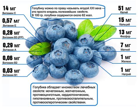 Витамины и минералы в голубике