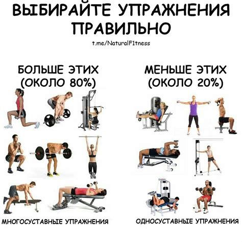 Включение силовых тренировок в программу