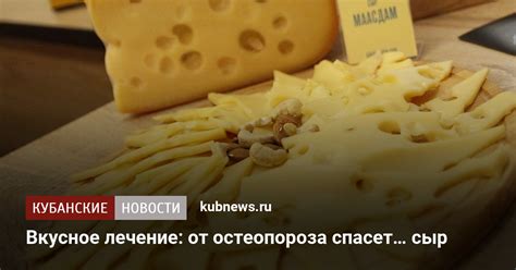 Включение сыра в рацион