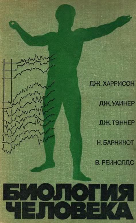 Влияние внешних факторов на сюжеты снов