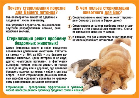 Влияние дачи жидкости на успешность кастрации собаки