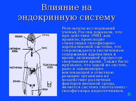 Влияние индивидуальных факторов на реакцию организма на искусственные подсластители