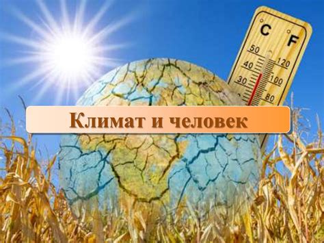 Влияние климата на процесс снятия укрытия
