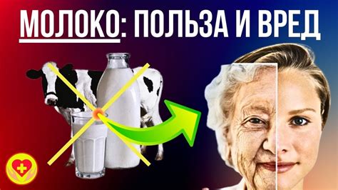 Влияние коровьего молока на здоровье котят: что нужно знать