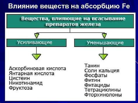 Влияние на абсорбцию питательных веществ