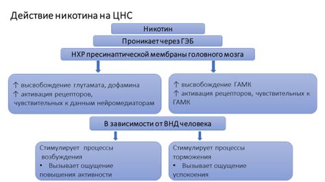 Влияние на желудочно-кишечный тракт