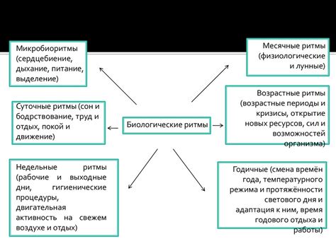 Влияние отпуска с воскресенья на работоспособность