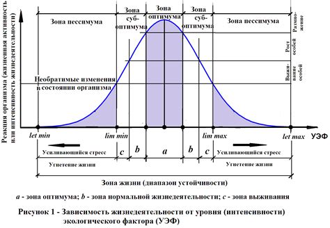 Влияние пола и возраста