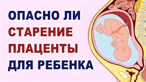 Влияние роста плаценты на плод