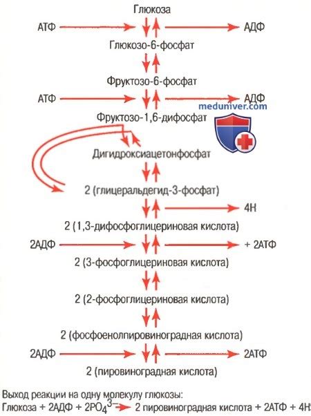 Влияние смешивания ВМГЗ и АТФ